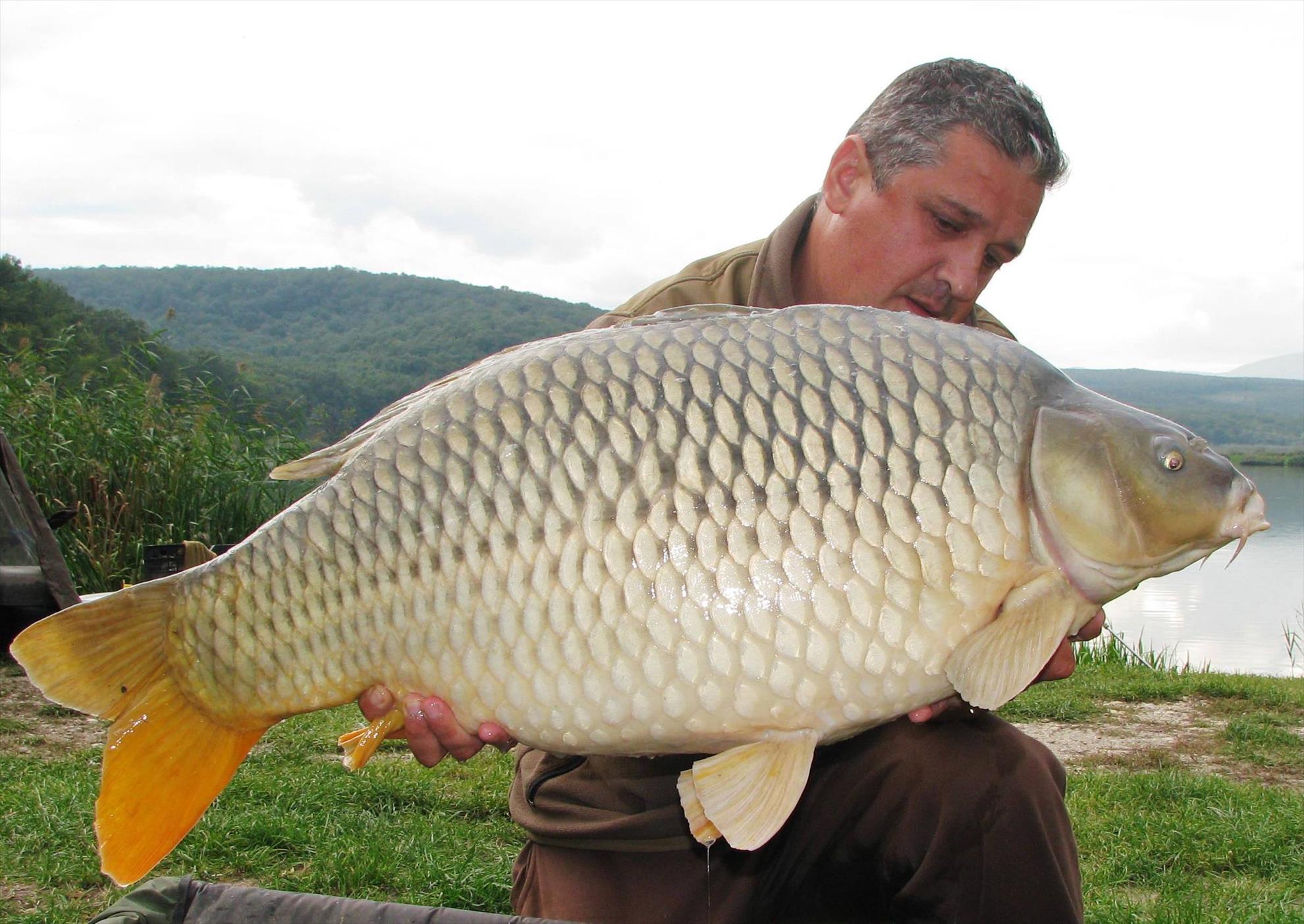 Harsany septembrie 2014 - img1780.JPG